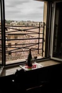 Navona Queen Rooftop - 6