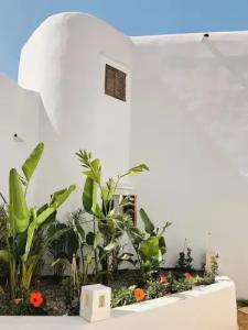 FERGUS Style Punta Arabi - 70