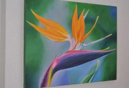 Boutique Las Arenas - 46