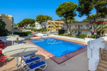 Vibra Palma Cactus - 21