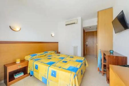 Vibra Palma Cactus - 31