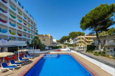 Vibra Palma Cactus - 26