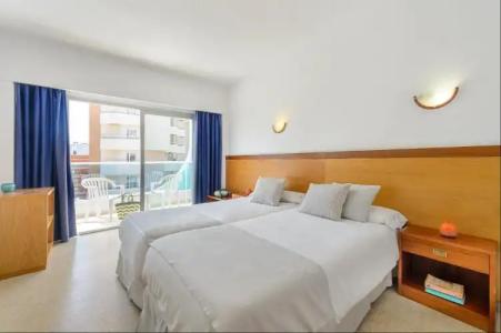 Vibra Palma Cactus - 12