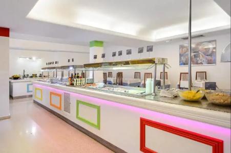 Vibra Palma Cactus - 17