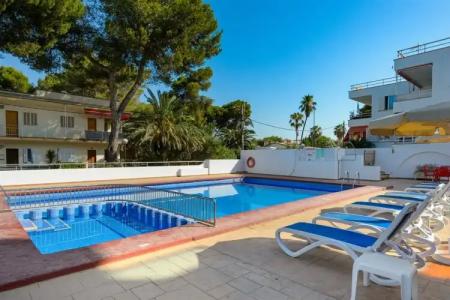 Vibra Palma Cactus - 22