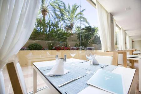 Bordoy Cosmopolitan - 37