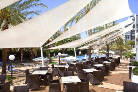 Bordoy Cosmopolitan - 31