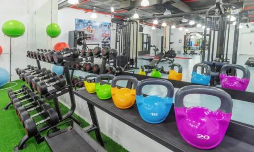 ApartFontanellas Playa - 26