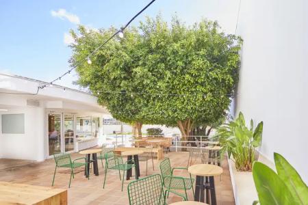 tent Playa de Palma - 27