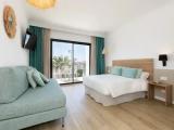 Standard Double room with balcony and with pool view