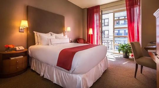 Giraffe by Library Collection - 37