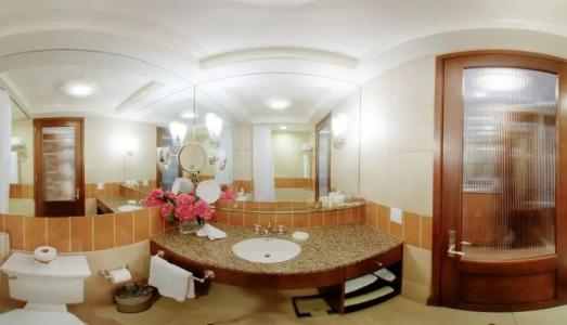 Giraffe by Library Collection - 9