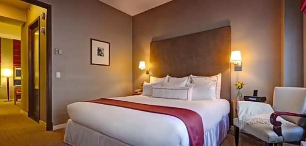 Giraffe by Library Collection - 55