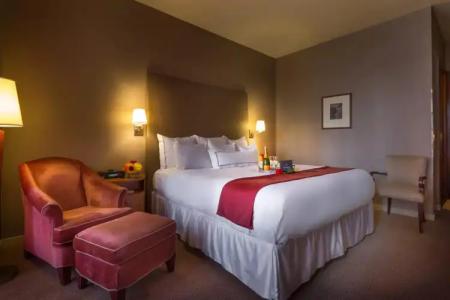 Giraffe by Library Collection - 4