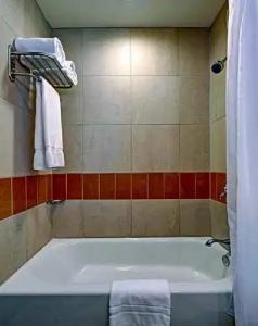 Giraffe by Library Collection - 30