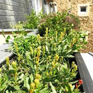 Hôtel Recamier - 55