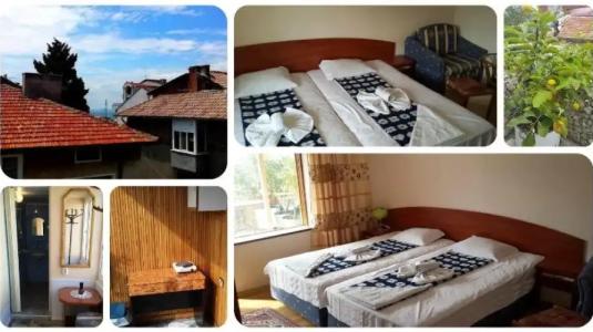 Guest House Margarita - 2