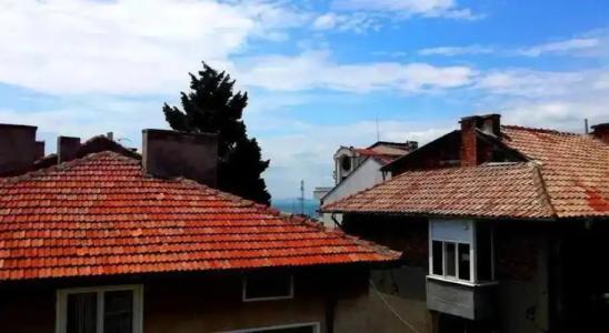 Guest House Margarita - 11