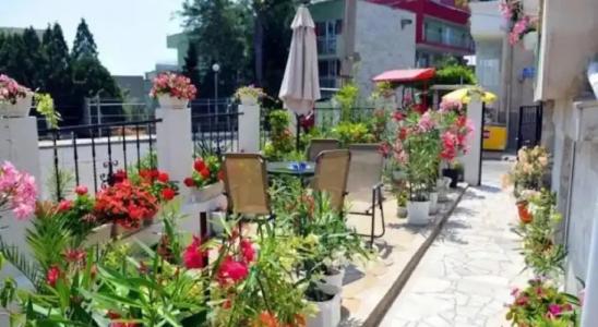 Guest House Margarita - 10