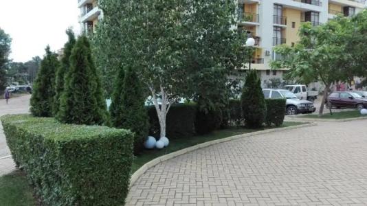 Sun City Apartments - 67