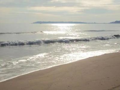 Sun City Apartments - 131