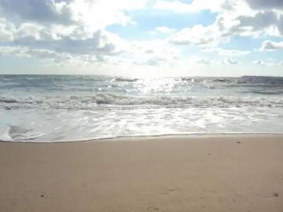 Sun City Apartments - 92