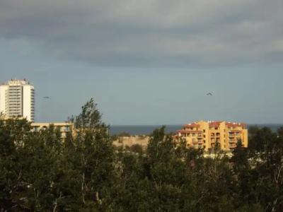 Sun City Apartments - 73