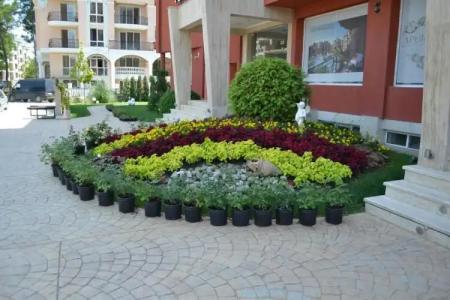 Sun City Apartments - 34