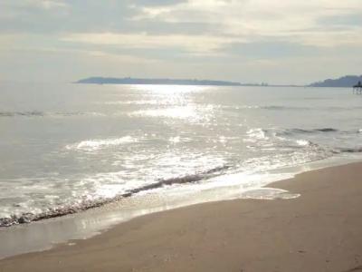 Sun City Apartments - 13