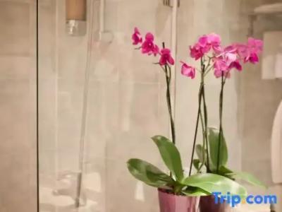 Louvre Sainte Anne - 57