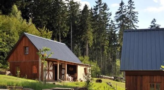 Bergdorf LiebesGrn - 9