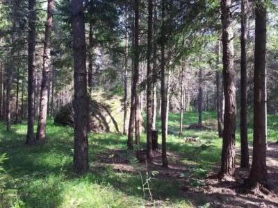 Männiste Holiday Home - 3