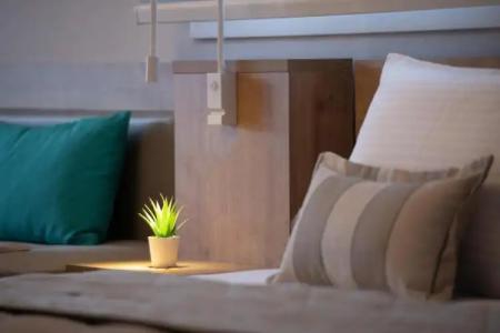 Agni on the Beach - 36