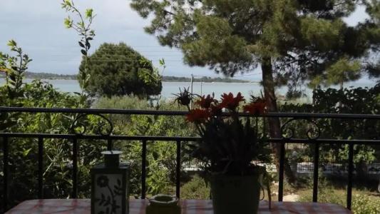 Pefka Studios & Apartments - 28