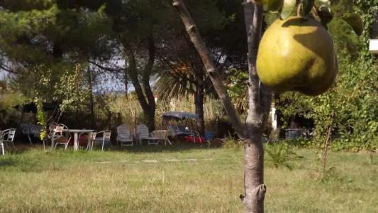 Pefka Studios & Apartments - 12