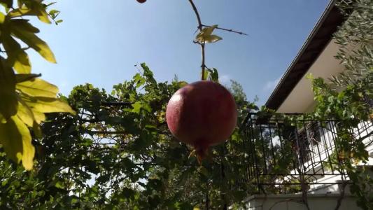 Pefka Studios & Apartments - 11