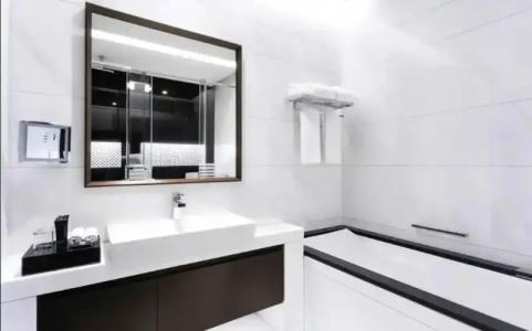 Renaissance Business Bay - 27
