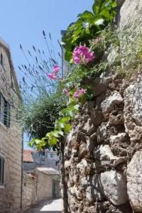 Old Town Ela Place - 1