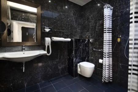 Hôtel Montparnasse Saint Germain - 115