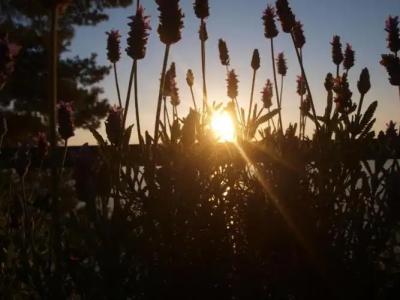 Apartment Podaca 11588C - 30