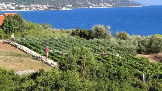 Apartment Podaca 11588C - 49