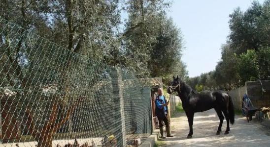 Agriturismo Montenachiro - 0