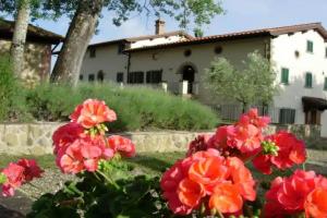 Fattoria di Belvedere, Poppi