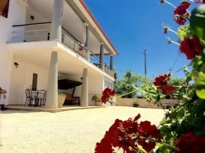 B&B All'Ombra Degli Ulivi - 2