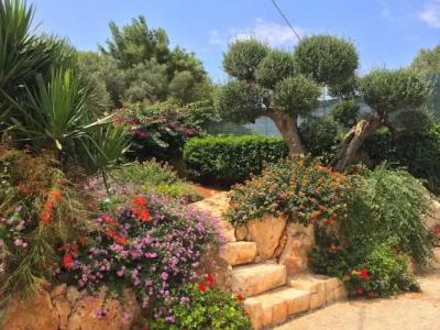 B&B All'Ombra Degli Ulivi - 37