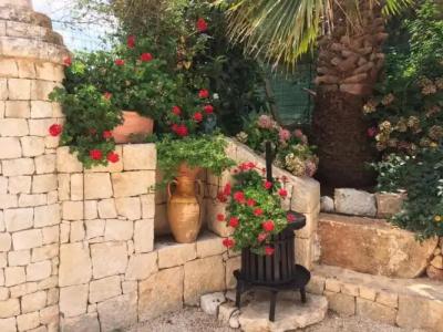 B&B All'Ombra Degli Ulivi - 5