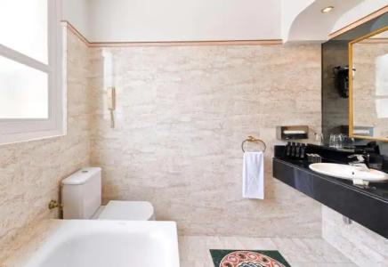 Meliá París Champs Elysées - 17