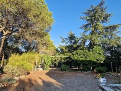 Parco della Vigna - 46