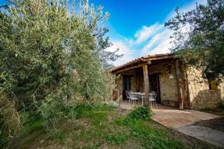 Poggio Pozzetti - 63