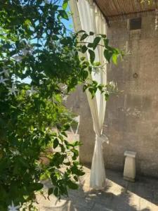 Masseria Montanari - 86